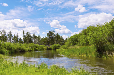 Similar image 5859922