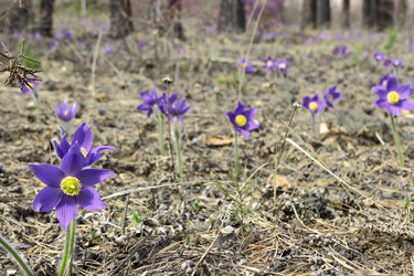 Similar image 5859924