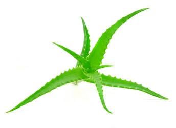 Similar image 5859970