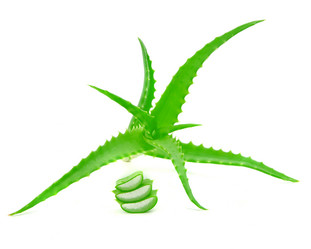 Similar image 5859971