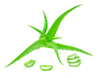 Similar image 5859975