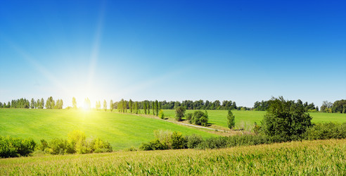 Similar image 5860044