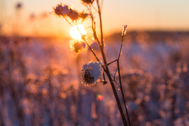 Similar image 5860160