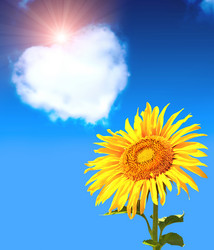 Similar image 5860258