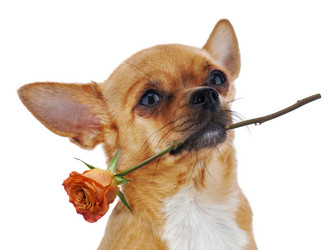 Similar image 5860309