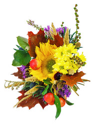 Similar image 5860323