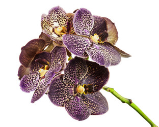 Similar image 5860335