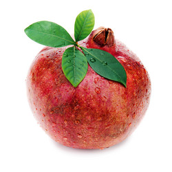 Similar image 5860404