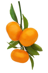 Similar image 5860409