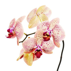 Similar image 5860417