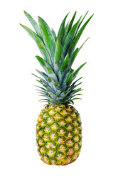 Similar image 5860462