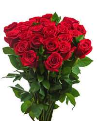 Similar image 5860488