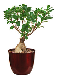 Similar image 5860489