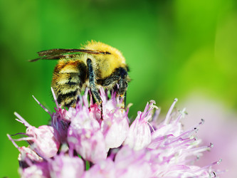 Similar image 5860521