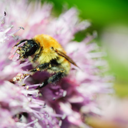 Similar image 5860530