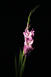 Similar image 5860544