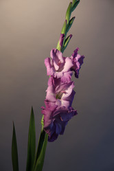 Similar image 5860549