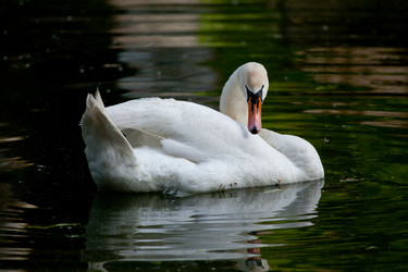 Similar image 5860596