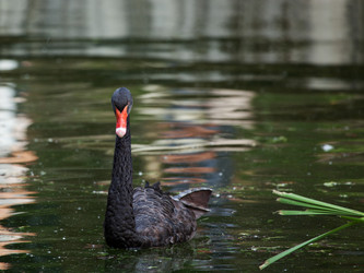 Similar image 5860598