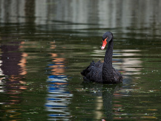 Similar image 5860599