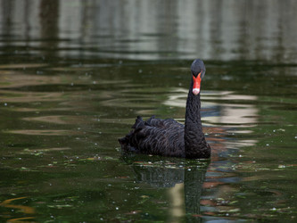 Similar image 5860601