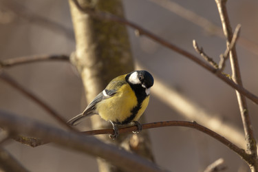 Similar image 5860613