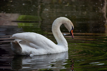 Similar image 5860614