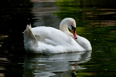 Similar image 5860632