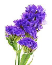 Similar image 5860637