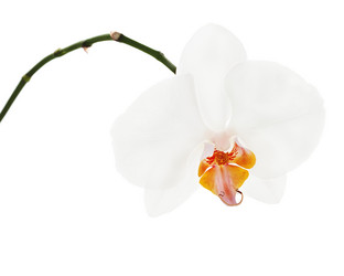 Similar image 5860638