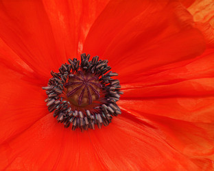 Similar image 5860649