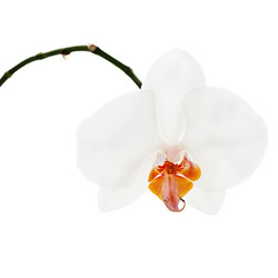 Similar image 5860650