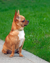 Similar image 5860662