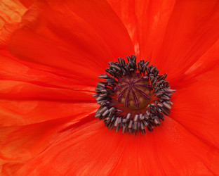 Similar image 5860668