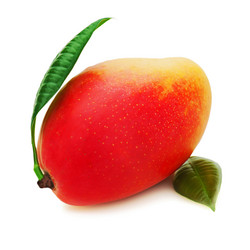 Similar image 5860709