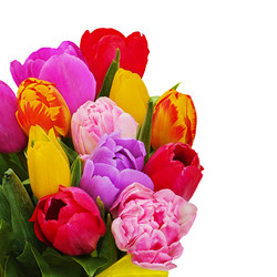 Similar image 5860713