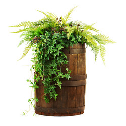 Similar image 5860714