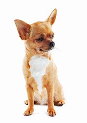 Similar image 5860721