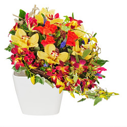 Similar image 5860724