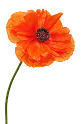 Similar image 5860726