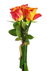 Similar image 5860741