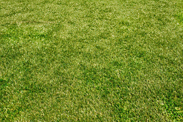 Similar image 5860751