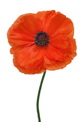 Similar image 5860759