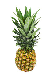 Similar image 5860775