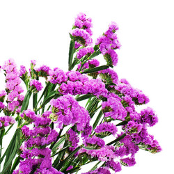 Similar image 5860797