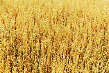 Similar image 5860805