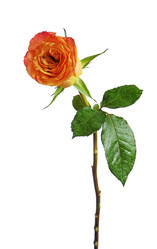 Similar image 5860820