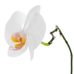 Similar image 5860822