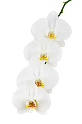 Similar image 5860823