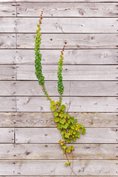 Similar image 5860830